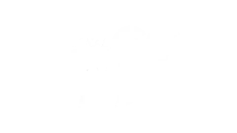 Assistir OFF ao vivo HD online grátis 24 horas